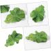 PLAFOPE Lettuce Hairpin Aesthetic Hair Clips Hair Clips Hair Accessories for Women Clips for Hair Alligator Hair Clips Hair Clips for Teen Cute Hair Accessories Small Hairpin - Buy Online on GoSupps.com