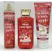 Bath and Body Winter Candy Apple Gift Set- Fragrance Mist - Body Cream - Shower Gel Red