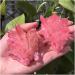 Stone Crafts Natural Crystal Quartz Cluster Colourful Specimen Electroplating Coated Reiki Stone Home Decoration Craft Reiki Crystals - Buy Online on GoSupps.com