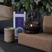 Tea With Intention - Organic Lotus Claritea (Peace) - De-Stress & Sleep Easy. Adaptogen Superblend. Chamomile Lavender Lemon Balm Valerian (14 Bags) (Lavender) - Buy Online on GoSupps.com