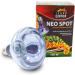 Terra Exotica Neo Spot | UV Radiation Terrarium Reflector | Heat & Light Source (25W-150W) for Terrarium Dwellers - Global Shipping - Buy Online on GoSupps.com