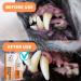 Dog Breath Freshener | Stop Bad Dog Breath! Dental Water Additive 237ml | Anti Plaque Anti Tartar Dog Mouthwash | Natural Dog Oral Care 237ml Breath Freshner - Buy Online on GoSupps.com