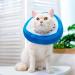 EXPAWLORER Cute Donut Cat Cone Collar - Soft E-Collar for Wound Healing and Recovery, Ideal for Cats, Kittens, and Small Dogs - Buy Online on GoSupps.com