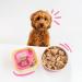 Edgard & Cooper Grain-Free Wet Puppy Food (Duck & Chicken) - 300g x 18 Pack | Natural Ingredients & Essential Amino Acids - Buy Online on GoSupps.com