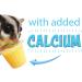 Nectar Pods: Calcium-Fortified Jelly Fruit Treat for Sugar Gliders, Marmosets, Parrots, and More - Variety 4 Pack - Buy Online on GoSupps.com