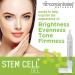 Rejuvenating Stem Cell Gel for Face | Seaweed Extract Hyaluronic Acid & Fruit Extracts | Hydrate Firm & Brighten Skin with Easy Applicator - Buy Online on GoSupps.com