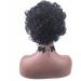 Spin for Hair African Short Curly Hair Women's Fashion European And American Puffy Black Small Curly Wig Set Perfect 7 Natural Curly One Size Black - Buy Online on GoSupps.com