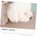 Veemoon Peigne D m lant pour Chiens et Chats Peigne de Toilettage avec Dents Fines Accessoire de Toilettage Portable - Buy Online on GoSupps.com