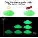 Glow in The Dark Powder Set - 12 Colors Epoxy Resin Dye for DIY Art & Crafts, Nail Art, Acrylic Paint - Luminous Pigment Powder, Long Lasting & Safe - 0.7oz Each - Buy Online on GoSupps.com