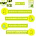 FARMSTAY Real Essence Mask (10 Sheets) - Calamansi | Premium Korean Skin Care Sheet Mask for Radiant Skin - Buy Online on GoSupps.com
