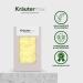 Natural Cosmetic Salt Soap Natural Sea Salt Soap for Skin 1 x 100 g - Buy Online on GoSupps.com