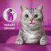 Whiskas Dentabites Dental Care Snacks for Cats - Chicken Flavor 320g (8x40g Packs) - International Shipping Available - Buy Online on GoSupps.com