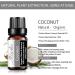 Organic Coconut Essential Oil - Pure Natural Coconut Oil for Diffusers Humidifiers Massage Bath Skin & Hair Care - 10ml - Buy Online on GoSupps.com