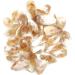 Natural Crystal Rough Natural Crystal Rough 100g Bulk Rough Natural Citrine Point Quartz Druzy Crystal Cluster Specimen Stone Pendant Making Gifts - Buy Online on GoSupps.com