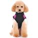 Ectkuee Winter Warm Waterproof Dog Coat Jacket - Small Quilted Puffer Pet Clothes in L Rose for Dogs - Buy Online on GoSupps.com