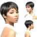 European and American wigs black women s fashion natural short straight hair African hair wigsDark brown black