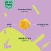Buy Besohappy Gut Vibes: Vegan Prebiotics & Postbiotics Gummy Bears with Zinc & Vitamin D3 - 60 Days Supply for Digestive Health - Buy Online on GoSupps.com