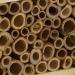 Wildlife Republic Insect Log Cabin Bee and Bug Home Insect Hotel - Buy Online on GoSupps.com