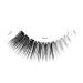 Emeda Natural False Eyelashes - 10 Pairs 2 Styles Clear Band 100% Handmade Cat Eye & Soft Whisper Lashes - Buy Online on GoSupps.com