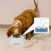 Yzzaoo Anti-Schwapp Dog Water Bowl - 1L No Drooling Perfect for Travel & Home Use - Buy Online on GoSupps.com