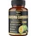 Premium Garcinia Cambogia 20:1 Extract Capsules 8550 mg - with Green Tea  Arjuna  Garlic  Turmeric  Black Pepper - Body Health & Immune Support Supplement - 1 Pack 150 Caps for 5 Months