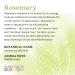 Aura Cacia Rosemary Essential Oil 60ml | Pure & GCMS Tested Cleansing Oil - Buy Online on GoSupps.com