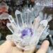 Amethyst Crystals White Quartz Crystal Cluster with Purple Amethyst Specimen DIY Gifts JIZTGEDM - Buy Online on GoSupps.com