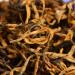 Brick ans Arbre ancien Bourgeons dor s Th noir Yunnan Dian Hong 250g - Buy Online on GoSupps.com