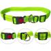 Aiqeer Green Hands Free Dog Leash Adjustable Waist Belt and Retractable Bungee Leash Jogging Dog Leash with Reflective Stitching (Grey Handle) - Buy Online on GoSupps.com