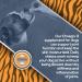 Jungle Pet Dog Skin and Coat Supplement - Fish Oil Soft Chews for Shedding & Allergies - Omega Vitamins for Small/Medium Breeds - 60 Count - Buy Online on GoSupps.com