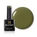 Bluesky Gel Nail Polish AW21 Autumn and Winter 2021 Collection Maybe Aw2110 Green Long Lasting Chip Resistant 10 ml (Requires Drying Under UV LED Lamp) Dark Green