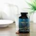 Green Tea Extract 98% Standardized EGCG - Natural Energy & Heart Support - 3X Strength Green Tea Pills - Antioxidant Health Supplement - 240 Capsules - Buy Online on GoSupps.com