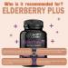 Health Dose Elderberry Plus Capsules Immune Support Supplement with Vitamins C D3 Zinc Selenium & 11 Ingredients for Year-Round Wellness 120 Veggie Capsules 2-Month Supply - Buy Online on GoSupps.com