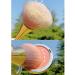 kawehiop Makeup Brush Blush Foundation Loose Powder Blending Brushes Long Handle DIY Portable Plating Washable Make Up Tool Rose Gold - Buy Online on GoSupps.com
