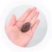 ifundom 32 Pcs Simulation Chocolate Home Decor Artificial Chocolate Dessert for Display Realistic Dessert Multi-function Chocolate Decor Children Accessory Multi-function Children Toy 3d - Buy Online on GoSupps.com