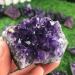 Amethyst Natural Rock Quartz Crystal Amethyst Cluster Druzy Geode Specimen Reiki (Color : 80-100g Size : 1Pc) 1Pc 80-100g - Buy Online on GoSupps.com