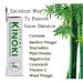 Hubbering Kinoki 5-Day Detox Footpads for Overall Wellness - Buy Online on GoSupps.com