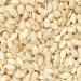 Nature Connect Watermelon Seeds 250 gm - High in Protein Tarbuj | Tarbooj Beej Magaj_Packing May Vary - Buy Online on GoSupps.com