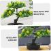 Ciieeo 2pcs Artificial Fruit Tree Faux Potted Plants Flower Vases Decorative Lemon Tree Artificial Fruit Potted Faux Fruit Tree Bonsai Fake Lemon Bonsai Linden Tree Pvc Desktop Office As Shown 1 30X27X16CM - Buy Online on GoSupps.com