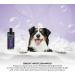 GROOM PROFESSIONAL Bright White Dog Shampoo - 4L - Deep Cleansing & Whitening Formula - Buy Online on GoSupps.com