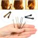FOCCTS 300pcs Hair Clips Set with U Hair Pins & 100pcs Hair Ties - Elegant Gold & Black Storage Box for Girls & Women - Buy Online on GoSupps.com