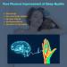 nvede Neurocontrol Dispositivo para Ansiedad Neurocontrol Sleep Aid Device Hand Held Nighttime Sleep Aid Device Neurocontrol para Ansiedad Neurocontrol Ansiedad (Black) - Buy Online on GoSupps.com