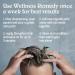 Malibu C Swimmers Wellness Hair Remedy - 3 Pack - Buy Online on GoSupps.com