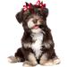 60pcs Dog Hair Bows - Grooming Bows for Dogs with High Tenacity Rubber Bands - 30 Beautiful Puppy Bows in Mix - Buy Online on GoSupps.com