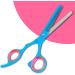 Professional Hairdressing Hair Thinning Scissor Barber Hairdresser Beautician Hair Salon Scissors (Blue Thinning 6.0") - Buy Online on GoSupps.com