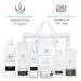 Rachel Moayer Perfecting Skincare Kit for Normal to Dry Skin Featuring Cleanser 2.5% Benzoyl Peroxide Scrub Vitamin C Serum 12% Face Cream 10% Acne Care Gel Recovery Acne Care & Anti Aging Set - Buy Online on GoSupps.com