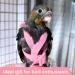 Phcozy Adjustable Pet Dishes & Bird Training Rope - Durable Nylon for Parrots - Anti-Bite Outdoor Leash - Buy Online on GoSupps.com