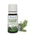 Organic Rosemary Borneol Essential Oil 100% Pure Undiluted Rosemarinus officinalis Therapeutic Grade Premium Quality Aromatherapy Oil Tested & Verified 10ML Rosemary 0.34 Fl Oz (Pack of 1)
