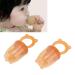 2 Pieces Baby Fruit Feeder Pacifier - Silicone Safe Fresh Food Toys for Infants | Anti-Leaking Teething Solutions - Buy Online on GoSupps.com