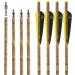 S F Crossbow Bolts Carbon Crossbow Arrows for Hunting and Target Practice (Pack of 12) - Buy Online on GoSupps.com